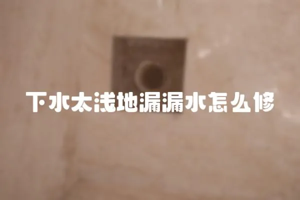 下水太淺地漏漏水怎么修
