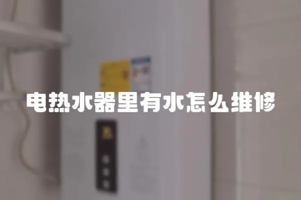 電熱水器里有水怎么維修