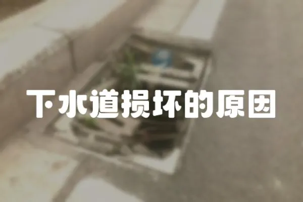 下水道損壞的原因
