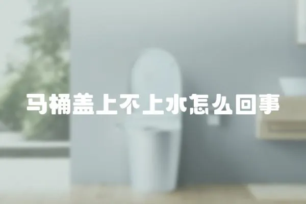 馬桶蓋上不上水怎么回事