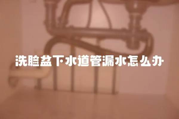 洗臉盆下水道管漏水怎么辦