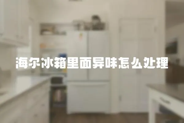 海爾冰箱里面異味怎么處理