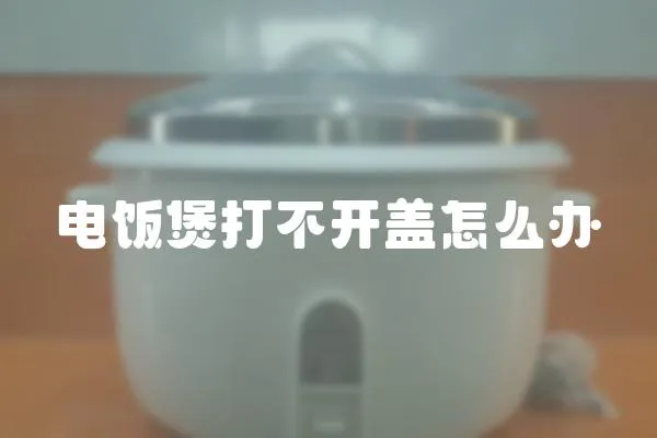 电饭煲打不开盖怎么办