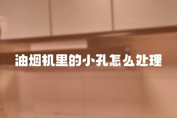 油煙機里的小孔怎么處理