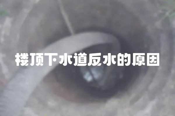 樓頂下水道反水的原因