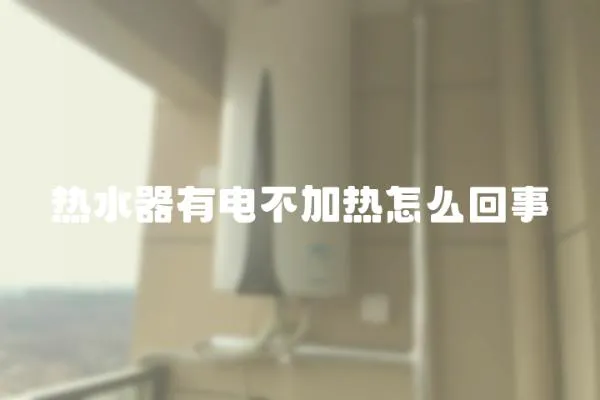 熱水器有電不加熱怎么回事