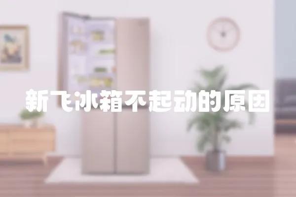 新飛冰箱不起動的原因