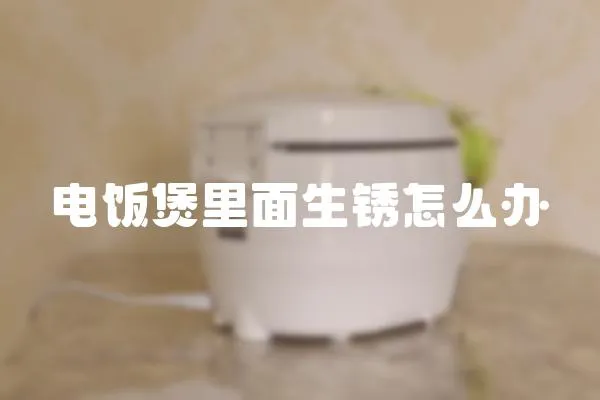 电饭煲里面生锈怎么办