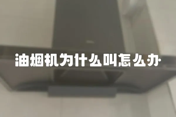 油煙機為什么叫怎么辦