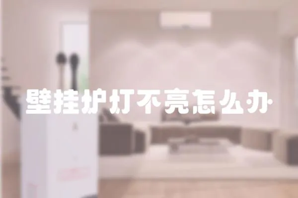 壁掛爐燈不亮怎么辦