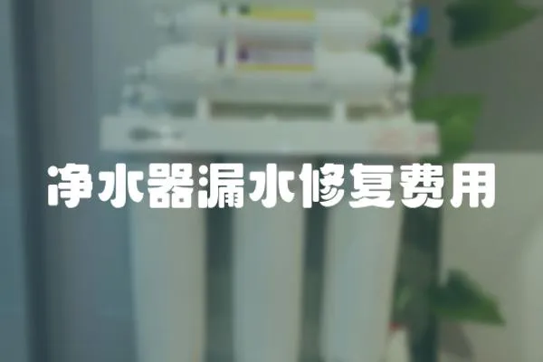 凈水器漏水修復費用