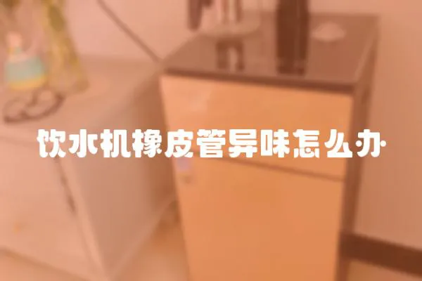 飲水機橡皮管異味怎么辦