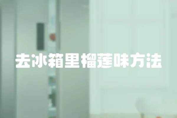 去冰箱里榴蓮味方法