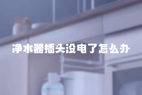 凈水器插頭沒電了怎么辦