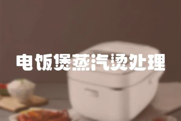 電飯煲蒸汽燙處理