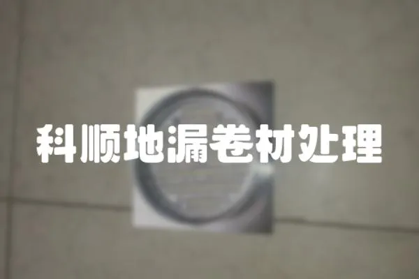 科順地漏卷材處理