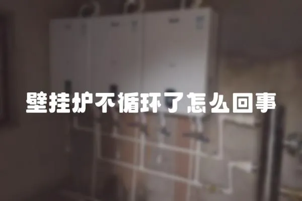 壁掛爐不循環了怎么回事