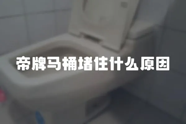 帝牌馬桶堵住什么原因