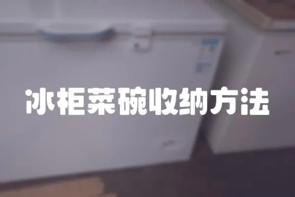 冰柜菜碗收纳方法