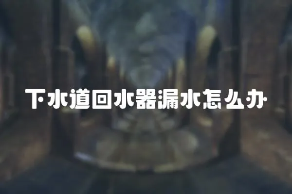 下水道回水器漏水怎么辦