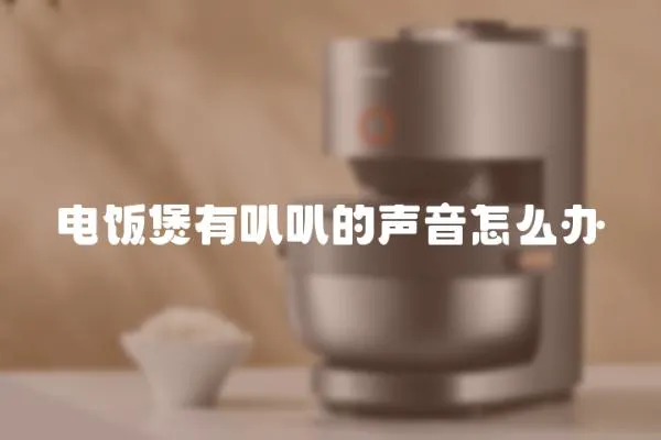 電飯煲有叭叭的聲音怎么辦