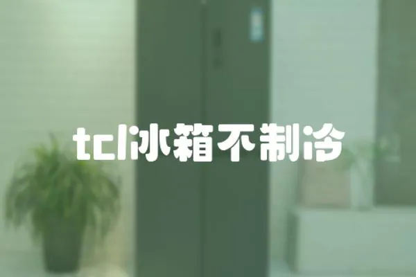 tcl冰箱不制冷