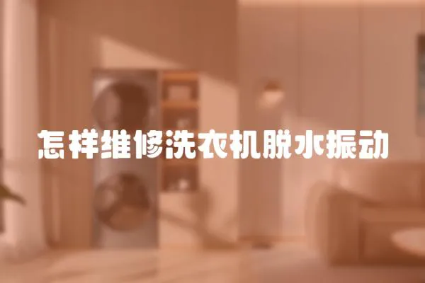 怎樣維修洗衣機脫水振動