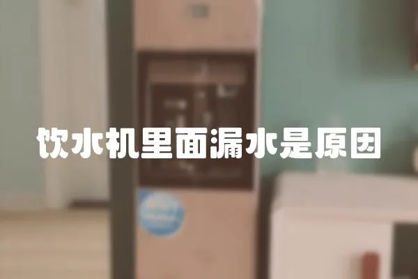 飲水機里面漏水是原因