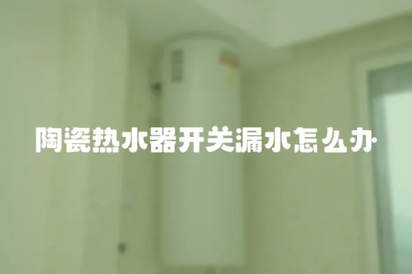 陶瓷熱水器開關漏水怎么辦