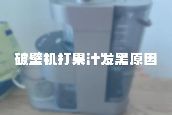 破壁機打果汁發黑原因