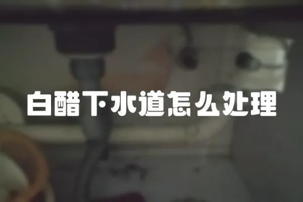 白醋下水道怎么處理