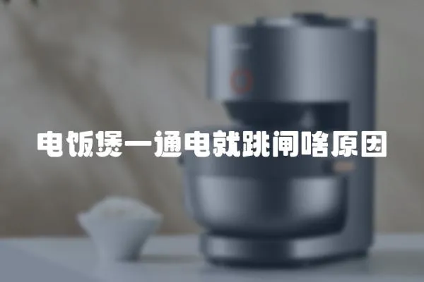 電飯煲一通電就跳閘啥原因