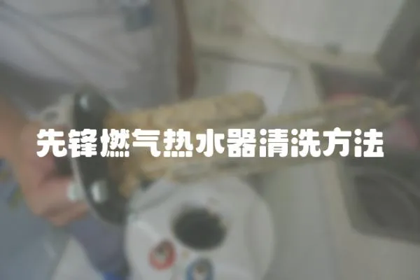 先鋒燃?xì)鉄崴髑逑捶椒?></a></div>
                    <div   id=