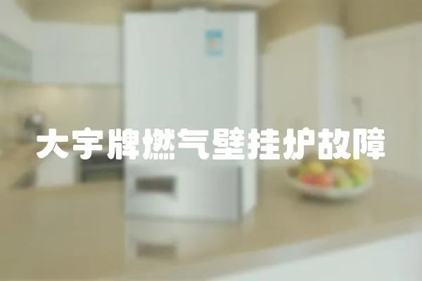 大宇牌燃氣壁掛爐故障