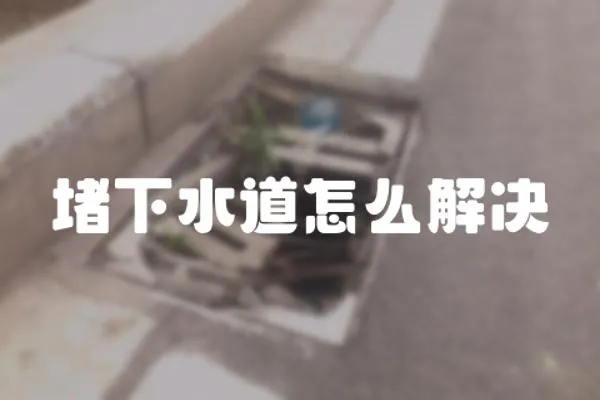 堵下水道怎么解決