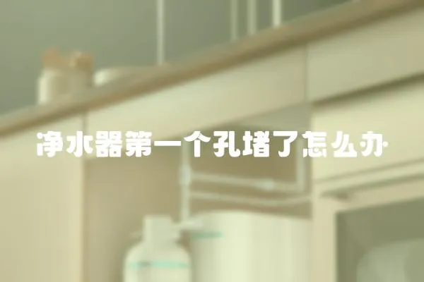 凈水器第一個孔堵了怎么辦