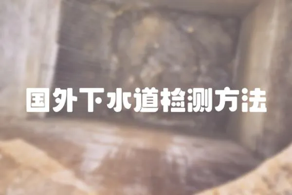 國外下水道檢測方法