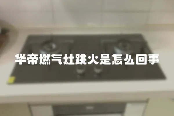 華帝燃?xì)庠钐鹗窃趺椿厥?></a></div>
                    </div>
                    <div   id=