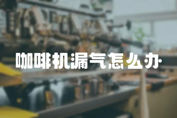 咖啡機(jī)漏氣怎么辦