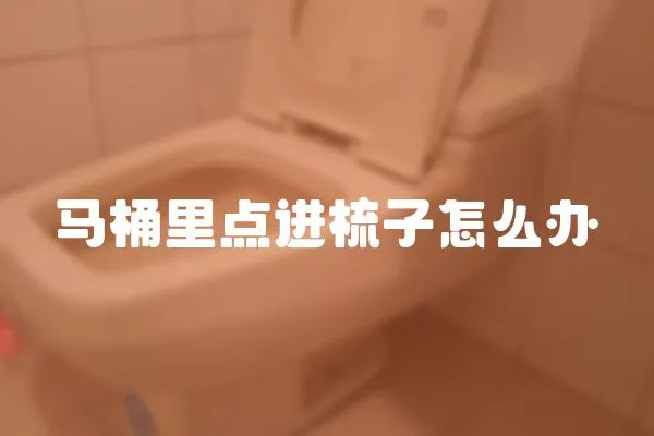 馬桶里點進梳子怎么辦
