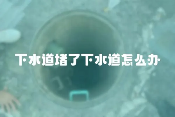下水道堵了下水道怎么辦
