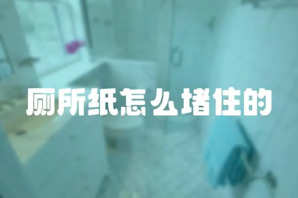 廁所紙怎么堵住的