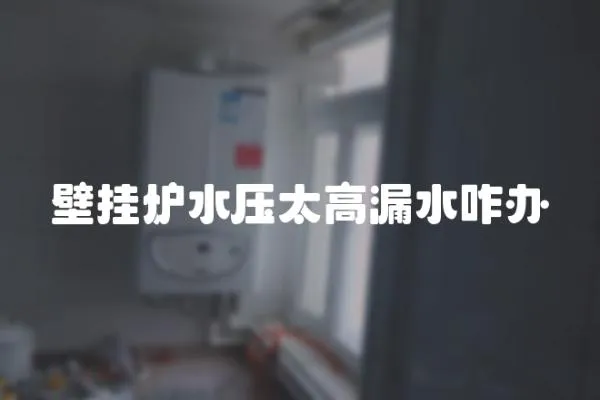 壁掛爐水壓太高漏水咋辦