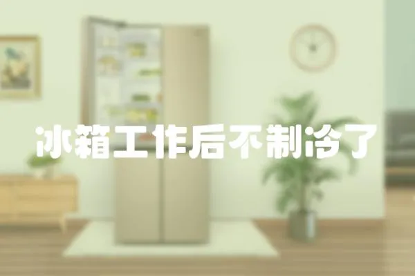 冰箱工作后不制冷了
