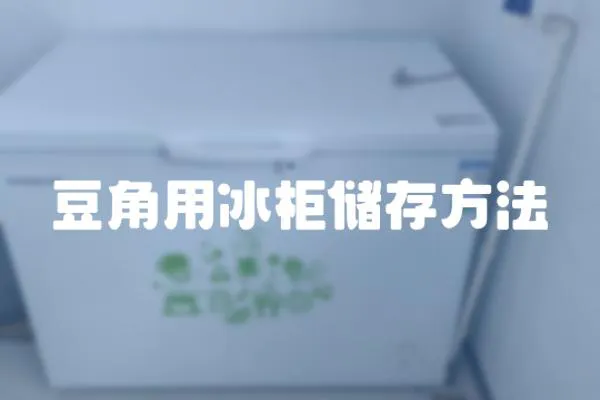 豆角用冰柜儲存方法