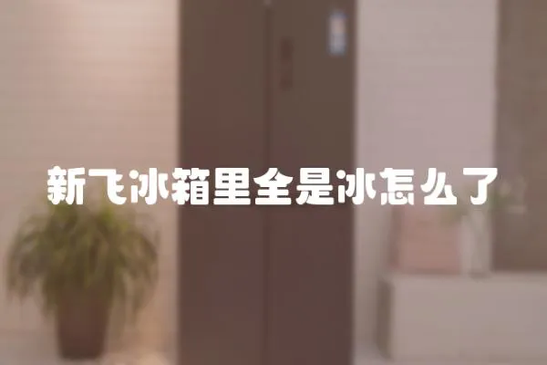 新飛冰箱里全是冰怎么了