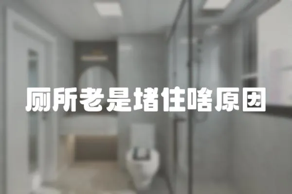 廁所老是堵住啥原因