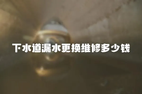 下水道漏水更換維修多少錢