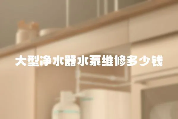 大型凈水器水泵維修多少錢