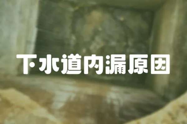 下水道內漏原因